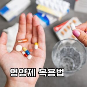 영양제 복용법