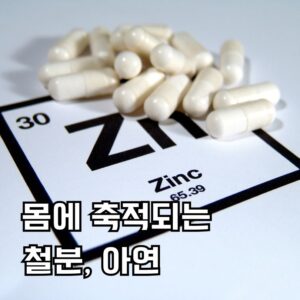 영양제