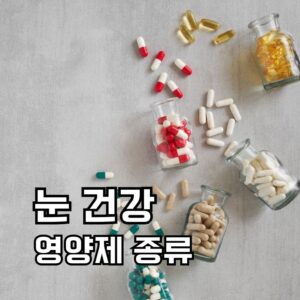 눈 건강 영양제 종류